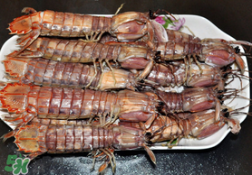 蝦爬子可以煮嗎？蝦爬子怎么煮？