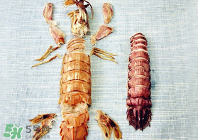 蝦爬子有黃嗎？蝦爬子黃營養(yǎng)價(jià)值