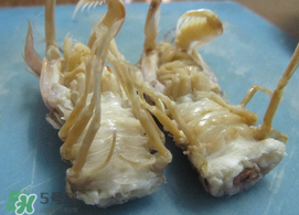 蝦爬子怎么分公母？蝦爬子公母區(qū)別