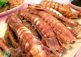 蝦爬子怎么分公母？蝦爬子公母區(qū)別