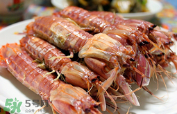 蝦爬子怎么分公母？蝦爬子公母區(qū)別