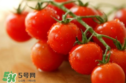 小番茄是轉(zhuǎn)基因的嗎？小番茄是不是轉(zhuǎn)基因食品