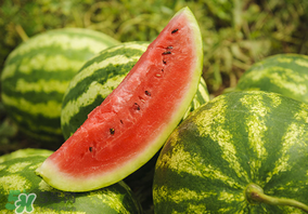 蝦爬子和西瓜一起吃嗎？吃完蝦爬子能吃西瓜嗎？