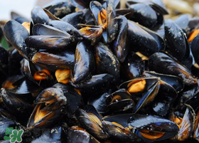 海虹里面的黑包能吃嗎？海虹里面的黑的能吃嗎？