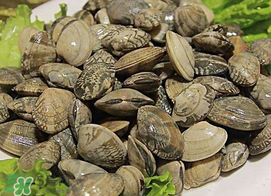蜆子不能和什么一起吃？吃蜆子不能吃什么？