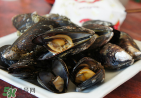 淡菜什么時(shí)候最肥？淡菜什么時(shí)候吃最好？