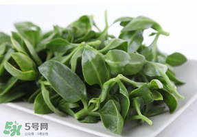 冰菜和穿心蓮是同一種菜嗎？冰菜和穿心蓮是一科嗎？