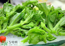 冰菜孕婦能吃嗎？孕婦能不能吃冰菜？