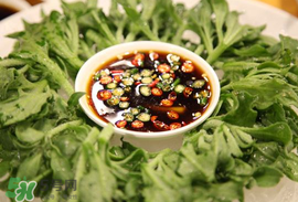 冰菜怎么涼拌？冰菜可以用沙拉醬拌嗎？