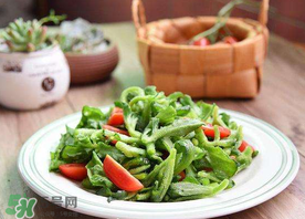 冰菜怎么涼拌？冰菜可以用沙拉醬拌嗎？