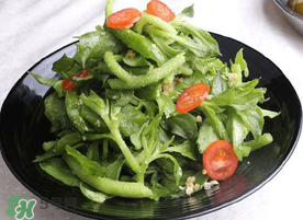 冰菜怎么涼拌？冰菜可以用沙拉醬拌嗎？