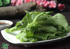 冰菜可以生吃嗎？冰菜能生吃嗎？