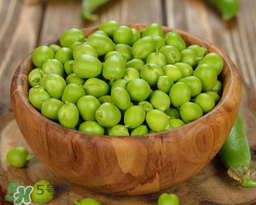 豌豆不能和什么一起吃？豌豆和什么不能一起吃？