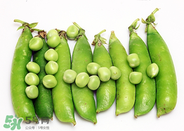 豌豆不能和什么一起吃？豌豆和什么不能一起吃？