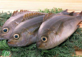 蠶豆和魚能一起吃嗎？蠶豆和魚吃相克嗎？