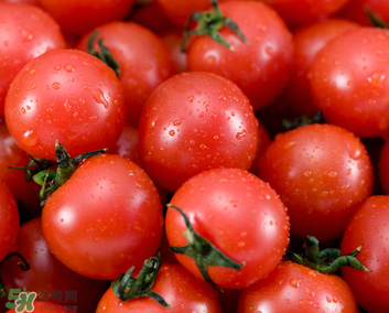 千禧果和圣女果的區(qū)別 千禧果和圣女果哪個(gè)好吃？