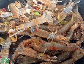 瀨尿蝦是皮皮蝦嗎？瀨尿蝦和皮皮蝦的區(qū)別