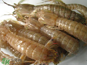 瀨尿蝦是皮皮蝦嗎？瀨尿蝦和皮皮蝦的區(qū)別