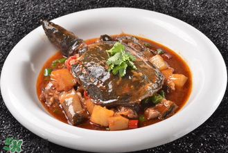 甲魚多少錢一斤 甲魚多少錢一斤市場(chǎng)價(jià)2022 甲魚多少錢一斤 甲魚多少錢一斤市場(chǎng)價(jià)2022