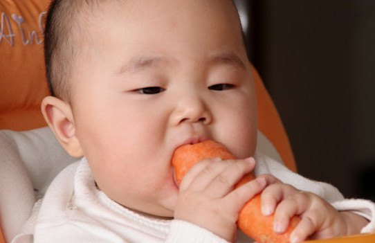 胡蘿卜與什么不能同食？胡蘿卜不能和什么一起吃