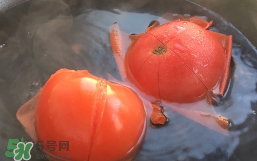 番茄怎么去皮？如何給番茄去皮