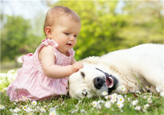 孩子不愿意分享是自私嗎？怎么幫孩子樹(shù)立分享意識(shí)？