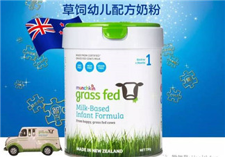 munchkin麥肯齊奶粉怎么樣？munchkin麥肯齊奶粉好不好？