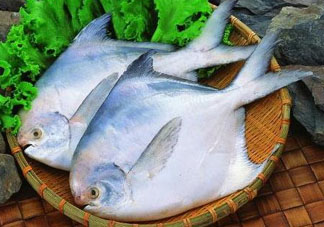 蠶豆和魚能一起吃嗎？蠶豆和魚吃相克嗎？