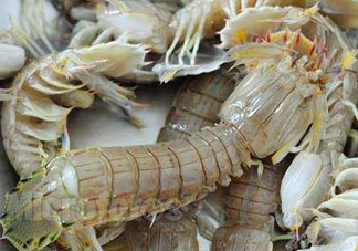 爬蝦哪些部位不能吃？爬哪里不能吃圖解？