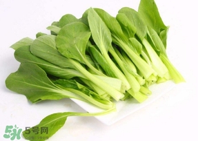 雞毛菜怎么種？雞毛菜的種植方法