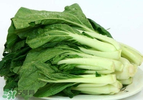 雞毛菜怎么做？雞毛菜的做法