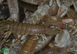 爬蝦哪些部位不能吃？爬哪里不能吃圖解？