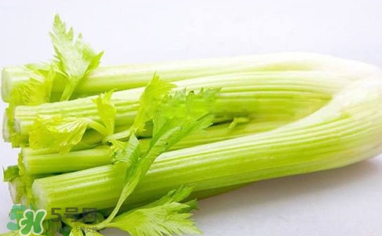 西芹是轉(zhuǎn)基因的嗎？西芹是不是轉(zhuǎn)基因