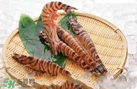 蝦爬子怎么扒皮？蝦爬子怎么剝殼？