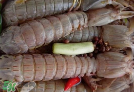 哺乳期能吃蝦爬子嗎？喂奶可以吃蝦爬子嗎？