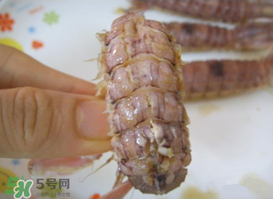 蝦爬吃多了怎么辦？蝦爬子吃多了什么反應？