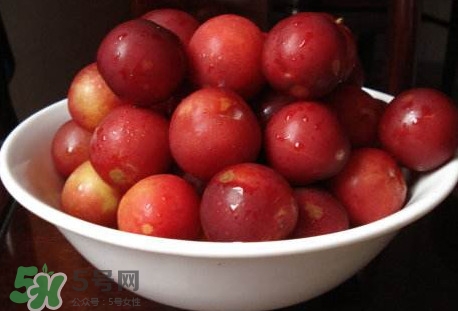 李子不能和什么一起吃？李子不能和什么同吃