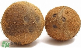 椰子怎么打開？椰子殼怎樣打開