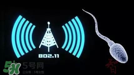 wifi殺精嗎？wifi殺精是真的嗎？