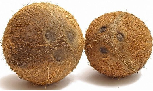 椰子怎么吃？如何吃到椰子肉