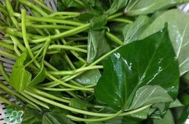 芍尖不能和什么一起吃？苕尖不能和什么一起吃