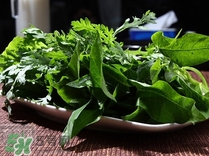 苕尖是發(fā)物嗎？苕尖是不是發(fā)物