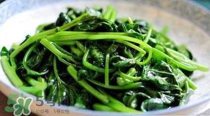 苕尖是發(fā)物嗎？苕尖是不是發(fā)物