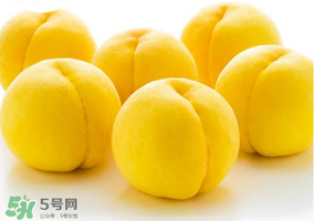 黃金油桃多少錢一斤？黃金油桃什么時候成熟？
