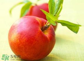 油桃可以放冰箱嗎？油桃能放冰箱嗎？