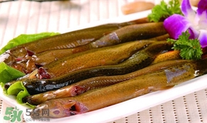 怎么處理泥鰍？泥鰍怎么處理干凈