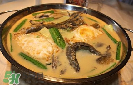 泥鰍是魚嗎？泥鰍是海鮮嗎