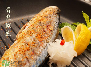 2017鲅魚多少錢一斤？鲅魚多少錢一斤2017？