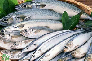 2017鲅魚多少錢一斤？鲅魚多少錢一斤2017？