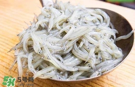銀魚是面條魚嗎？面條魚和銀魚的區(qū)別